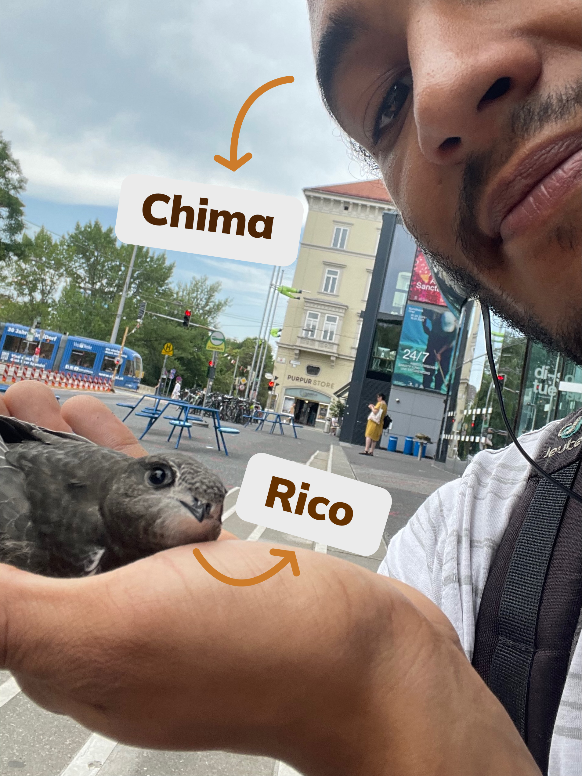 Rico 1
